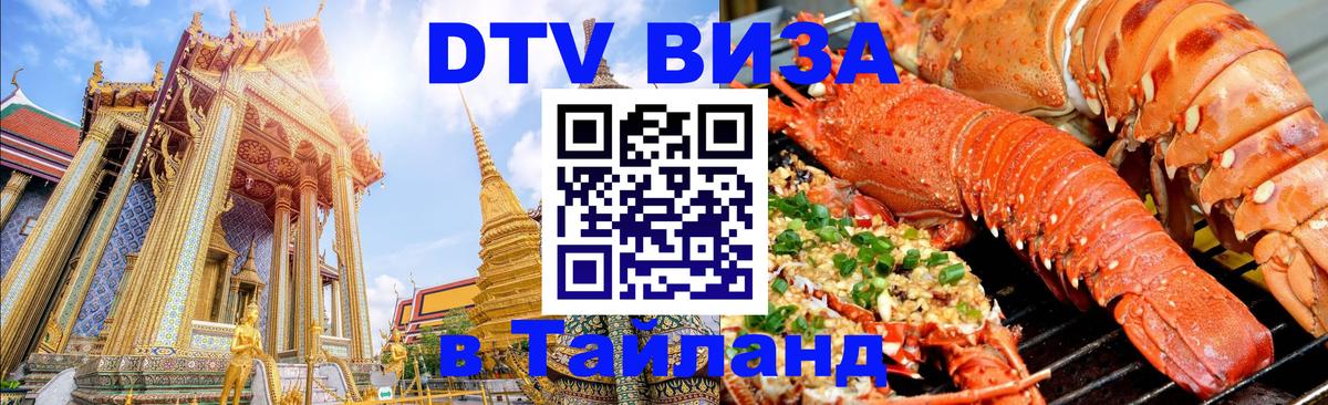 Сколько стоит DTV виза — актуальные цены, оформление даже без документов - Рубцовск 